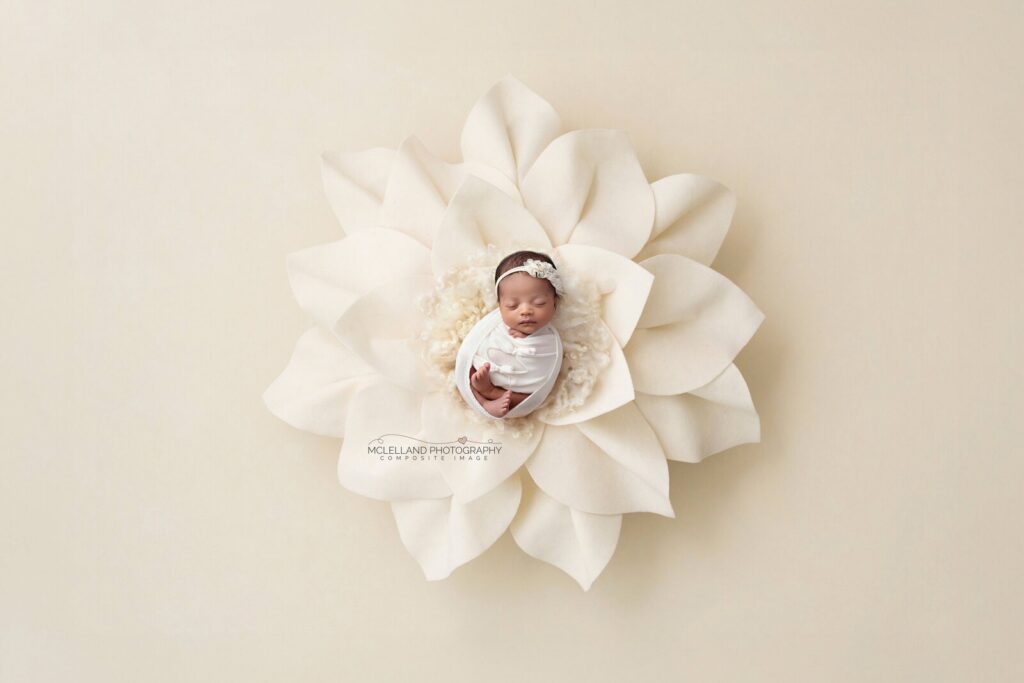 Sleeping newborn posed on a soft white flower during an Oakville photography studio session by McLelland Photography. 