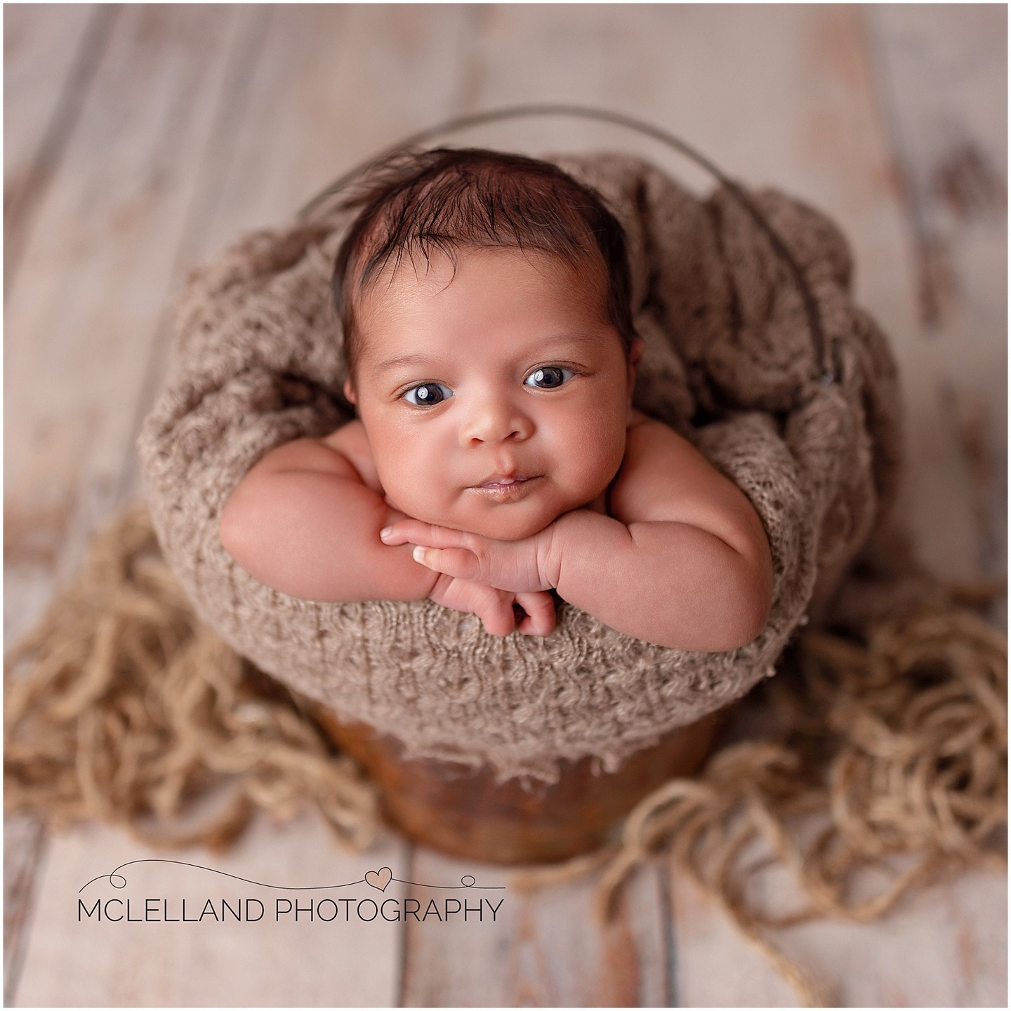 Awake newborn baby posed in a basket during a professional photography session in Oakville
