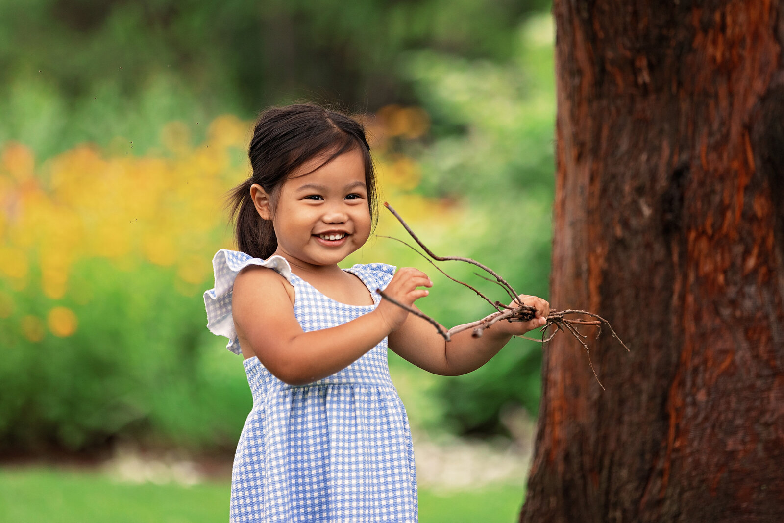 Smiling little girl in a blue gingham dress holding twigs beside a tree during an outdoor children's photography session